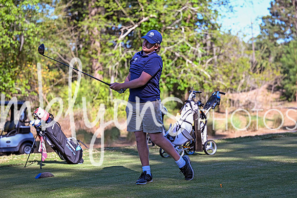 DSC_5896-1_edited-1