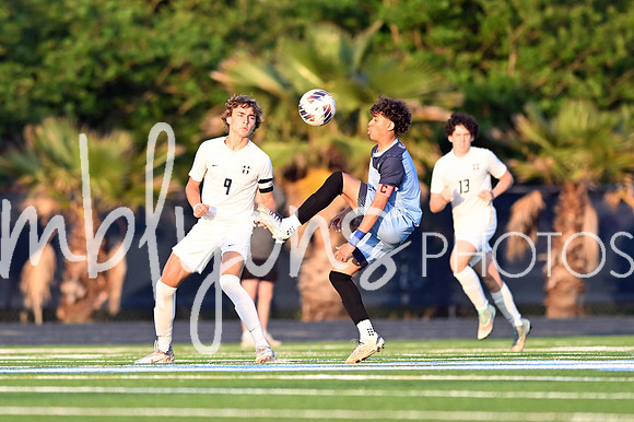 DSC_3510-1_edited-1
