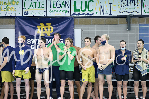 DSC_2844-1_edited-1