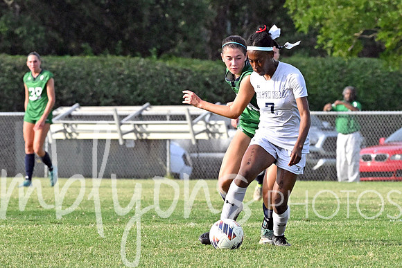 DSC_6334-1_edited-1