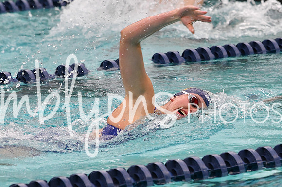 DSC_3646_edited-1