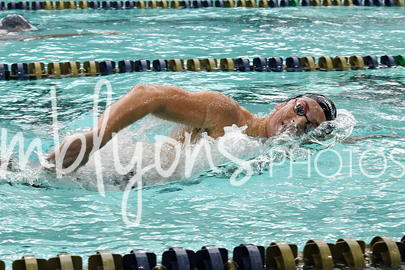 DSC_3994_edited-1