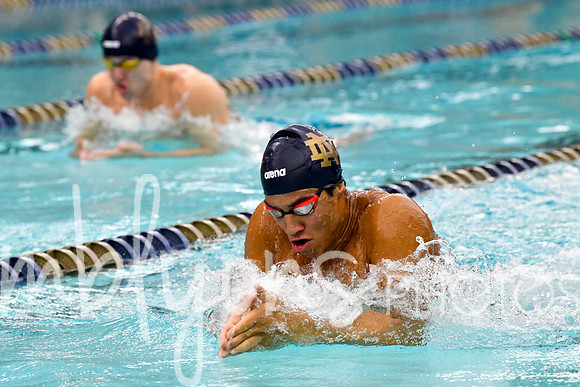 DSC_2543_edited-1