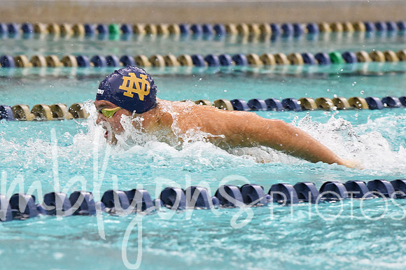 DSC_2591-1_edited-1