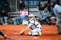 DSC_5633-1_edited-1