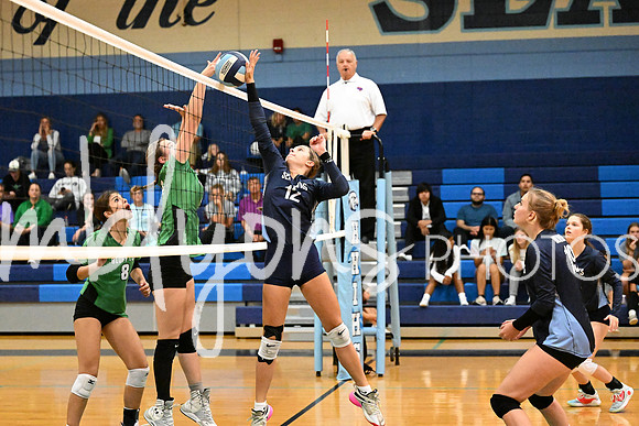 DSC_9673_edited-1