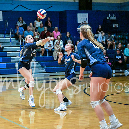 DSC_1633-1_edited-1
