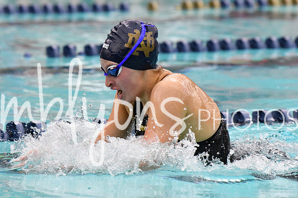 DSC_2953-1_edited-1