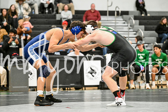 DSC_4857-1_edited-1