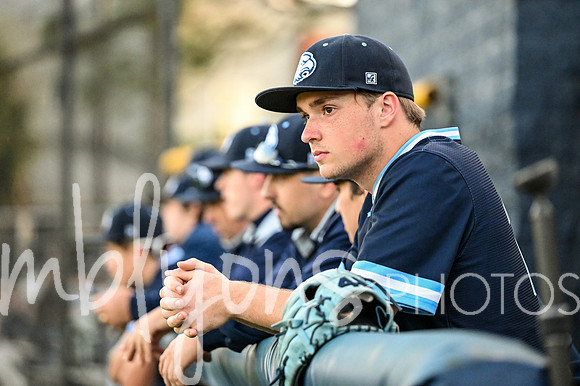 DSC_2663_edited-1
