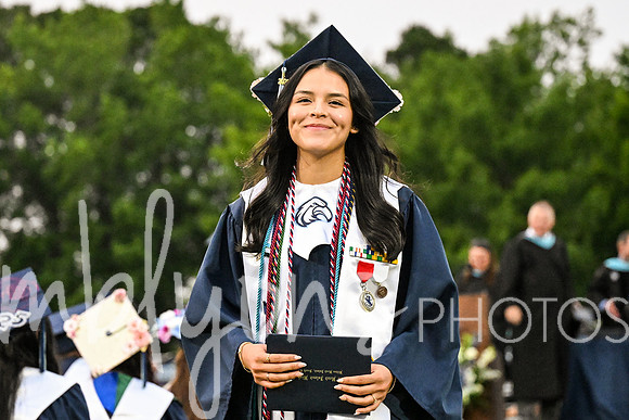 DSC_7241_edited-1