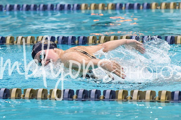 DSC_4431_edited-1