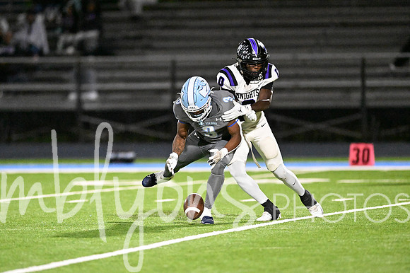 DSC_7913_edited-1