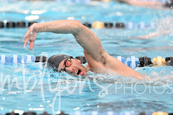 DSC_4537_edited-1