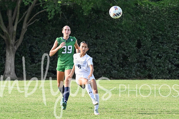 DSC_6236-1_edited-1