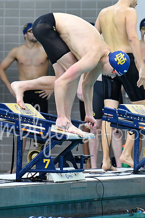 DSC_2337-1_edited-1