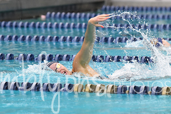 DSC_1723-1_edited-1