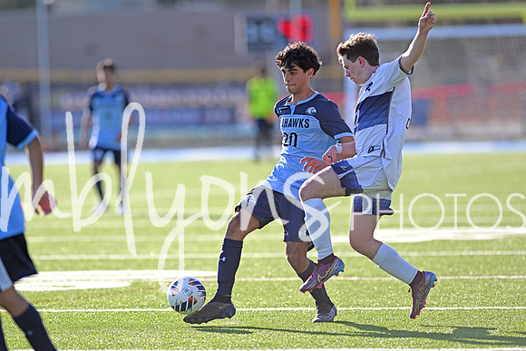 DSC_4528-1_edited-1