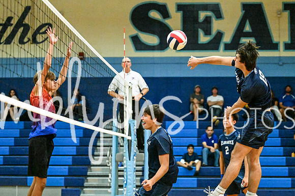 DSC_4310-1_edited-1