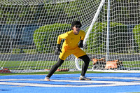 DSC_8217-11_edited-1