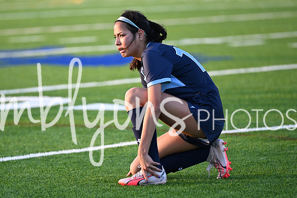 DSC_3166_edited-1
