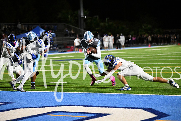 DSC_2754-1_edited-1
