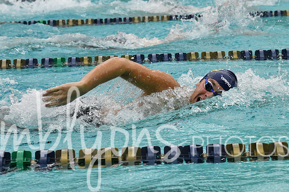 DSC_1950_edited-1