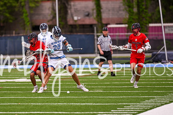 DSC_8259_edited-1