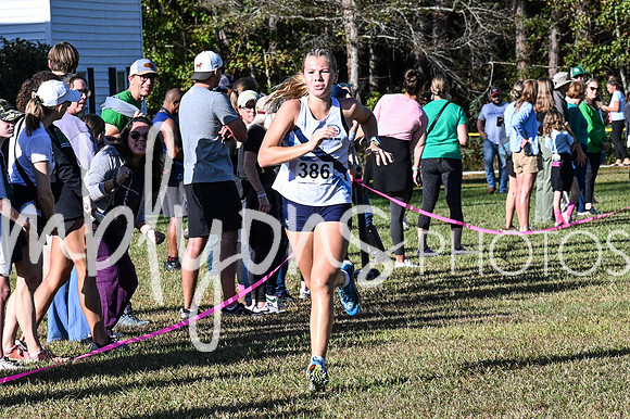 DSC_7300_edited-1