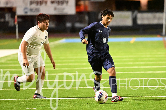 DSC_2789-1_edited-1