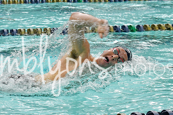 DSC_3995_edited-11