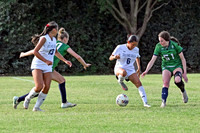 DSC_6242-1_edited-1
