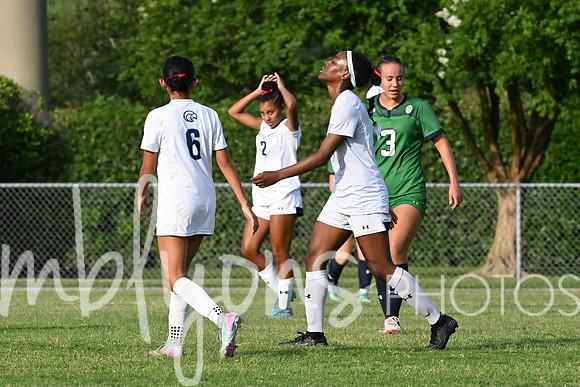 DSC_6380-1_edited-1