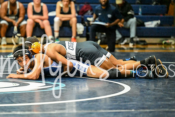 DSC_6631-1_edited-1