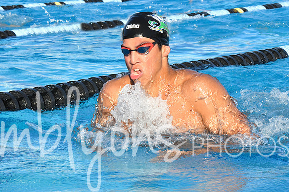 DSC_5583-1_edited-1