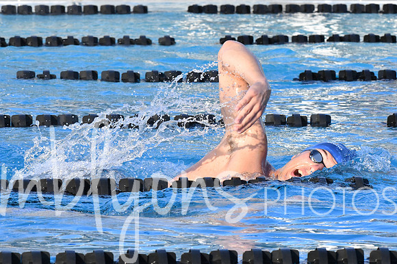 DSC_6331-1_edited-1