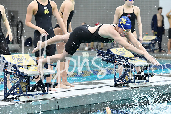 DSC_2723-1_edited-1
