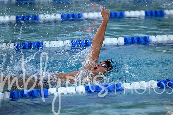 DSC_1524-1_edited-1