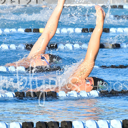 DSC_6244-1_edited-1