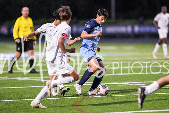 DSC_4645-1_edited-1