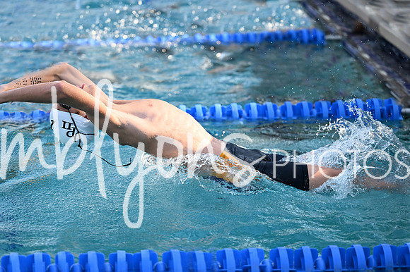 DSC_1105-1_edited-1