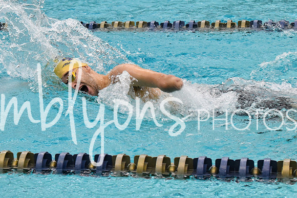 DSC_4226-1_edited-1