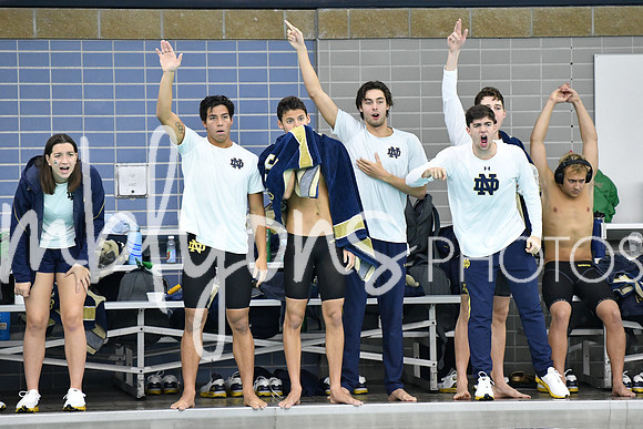 DSC_4253_edited-1