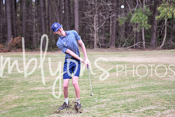 DSC_3353_edited-1
