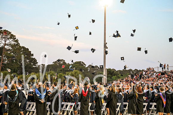 DSC_2568_edited-1