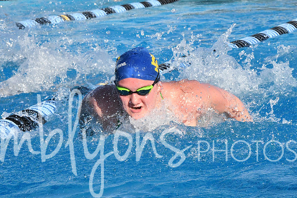DSC_5375_edited-1