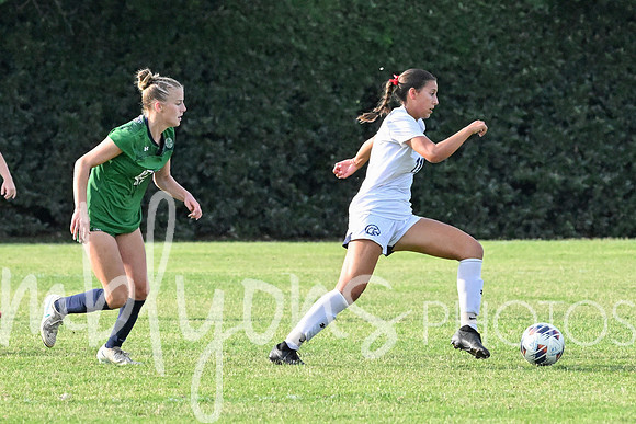 DSC_6326-1_edited-1