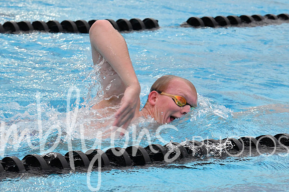 DSC_4506-1_edited-1
