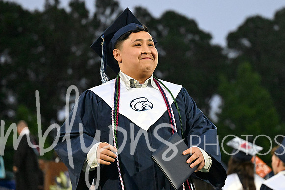 DSC_7554_edited-1