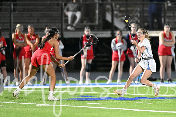 DSC_2880-11_edited-1